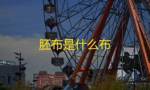 三角洲行动直装工具胚布是什么布